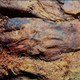 Illustration for article titled The Mysterious "Accidental Mummies" of Medieval Siberia
